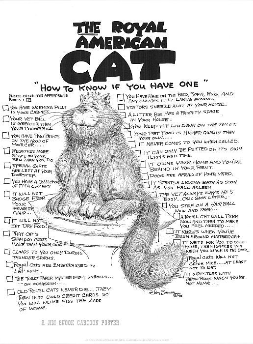 Cat Poster